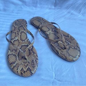 Yosi Samra Snake Print Leather Women’s Flip Flops